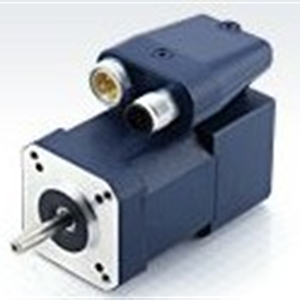 BLDC Motors IP